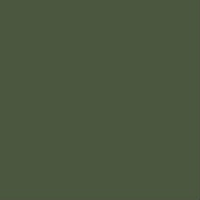 RAL_6003