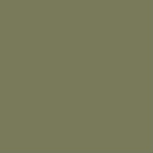 RAL_6013