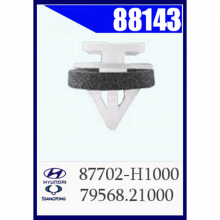 88143_87702-H1000_79568_21000