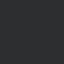 RAL_9004
