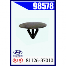 98578_81126-37010