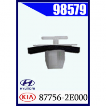 98579_87756-2E000